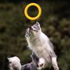 1Pcs Dog Toys Pet Flying Disk Training Ring Tpr Material Floating Water Training Interaction For Dogs
