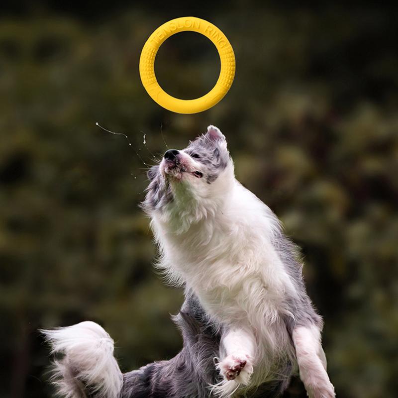 1Pcs Dog Toys Pet Flying Disk Training Ring Tpr Material Floating Water Training Interaction For Dogs