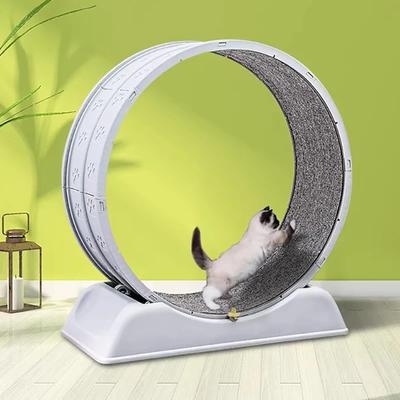 1 Stück - Indoor Katzenroller-Laufband Leises, nicht-elektrisches Haustier-Trainingsrad Zylindrisches Laufflächendesign Sichere Rampe Fördert die Gesundheit von Haustieren