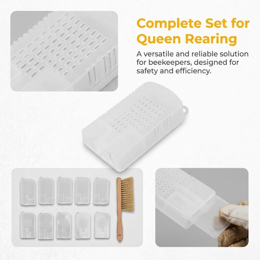 10Pcs Plastic Bee Transport Cage Ventilated Bee Rearing Cage Reusable Queen Bee Cage  Bee Rearing