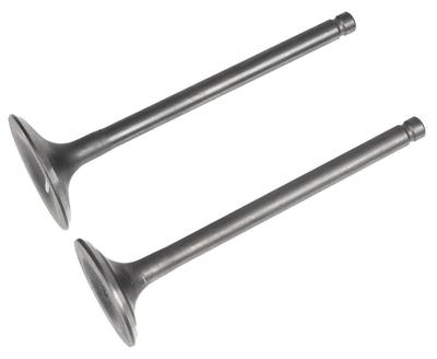 Intake/Exhaust Valve Rato R300 Engine 12110-Z730110-0099