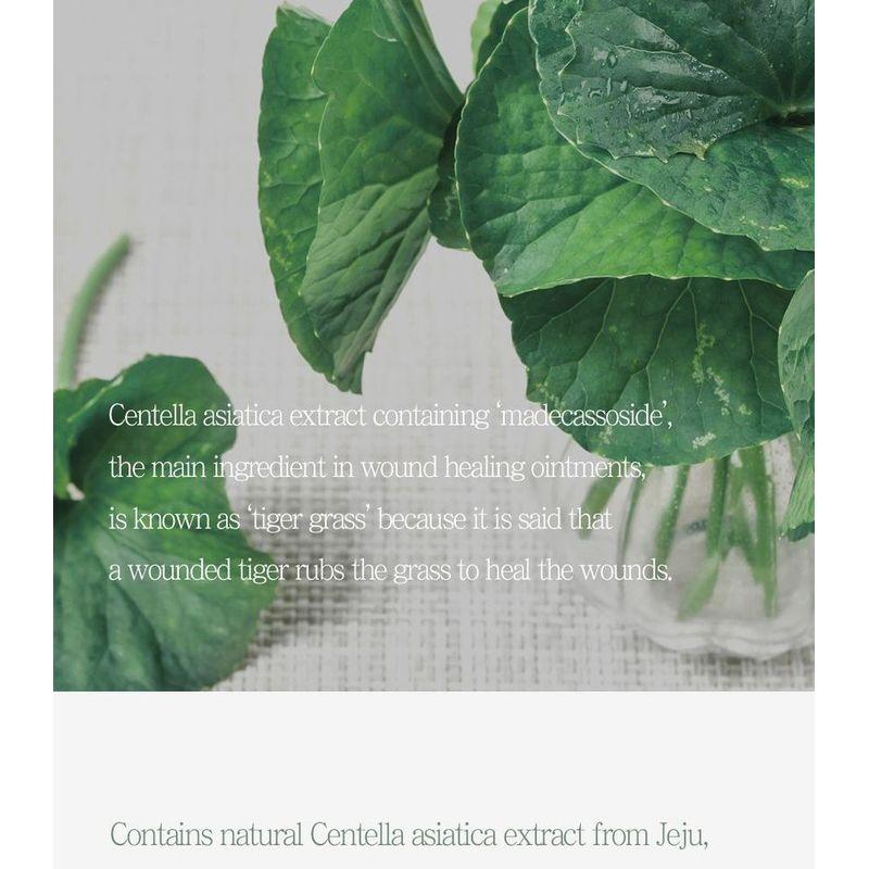 Pretty Skin - The Pure Jeju Cica Cleansing Foam