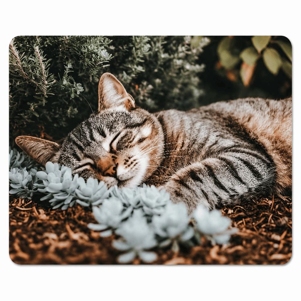 Non-Slip Cat Puppy Printed Mat Anti-fouling Cartoon Carpet Funny Home Decor Carpet  Bedrooms