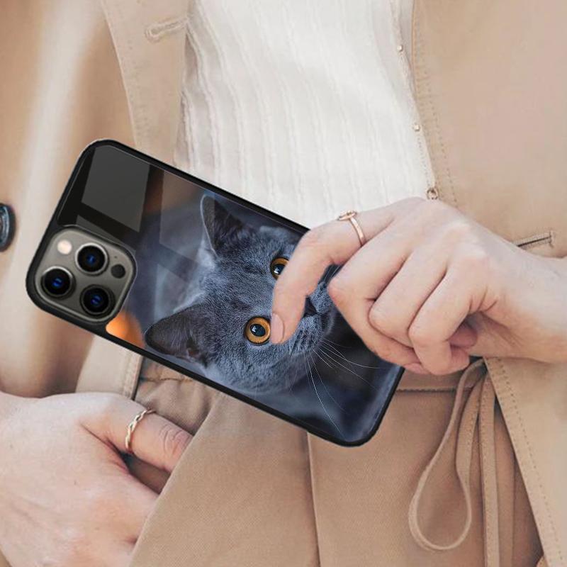 Beautiful Grey British Shorthair Cat Magnetic Phone Case For iPhone 17 Air 16 14 13 12 Pro Max 15 Plus Wireless MagSafe Cover