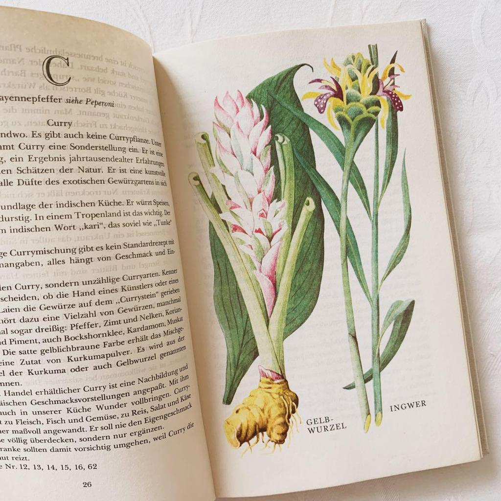 [USED] I'm drawn to the rustic feel of these vintage books on spices and herbs, foreign books, and old botanical books.