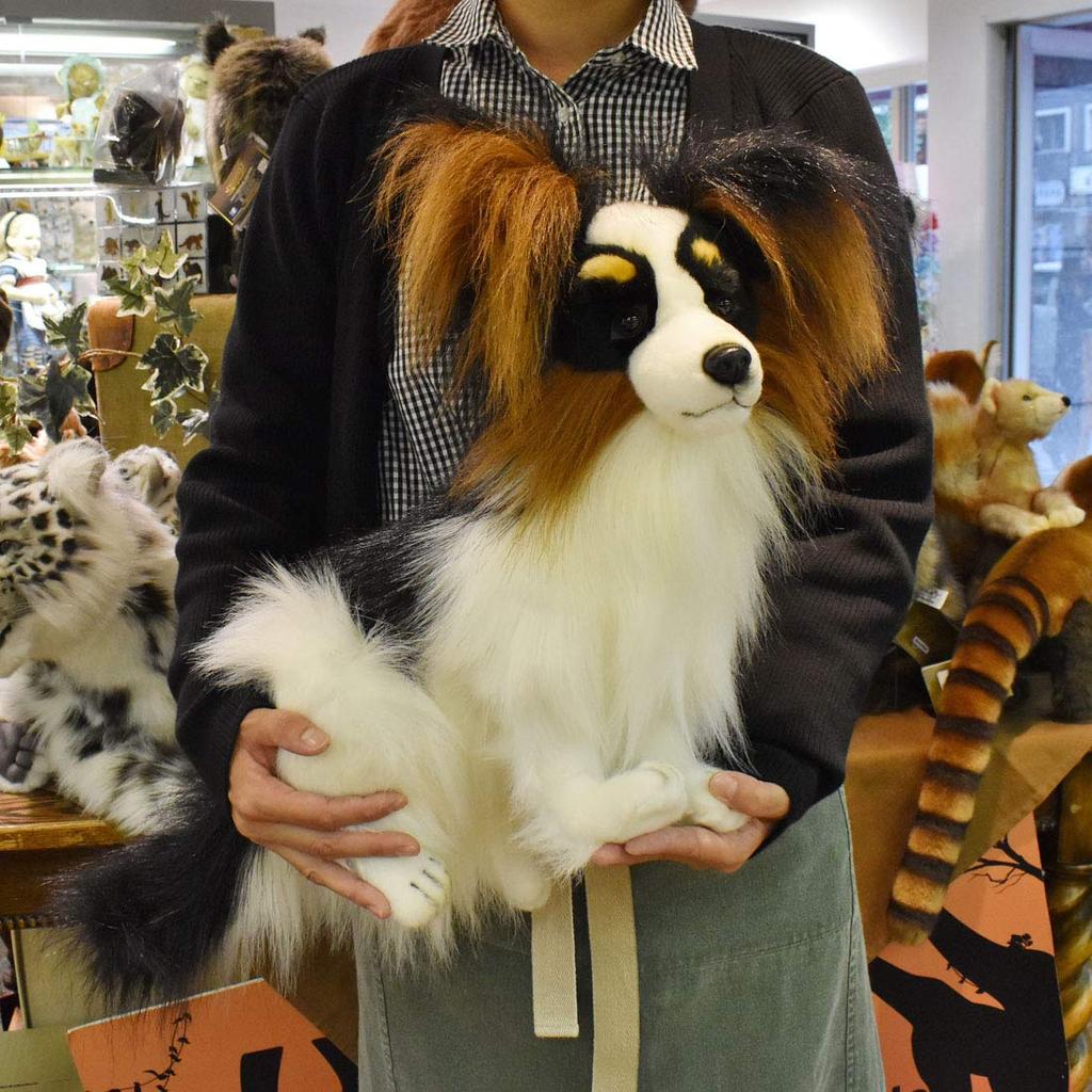 HANSA Papillon No.3994