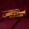 Complete Brass Instrument Repair Tool Set Including Various Instrument for Professional Musician Use and Care