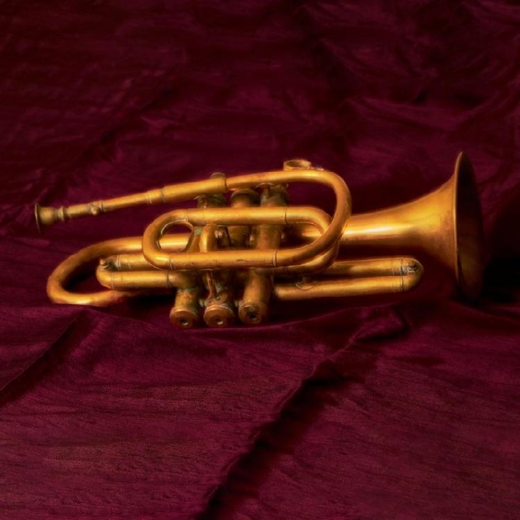 Complete Brass Instrument Repair Tool Set Including Various Instrument for Professional Musician Use and Care