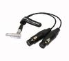 Cables XLR Breakout Audio Input Cable for Atomos Shogun Monitor Right Angle To Dual XLR Female Alvin's Recorder, 10-pin 3-pin