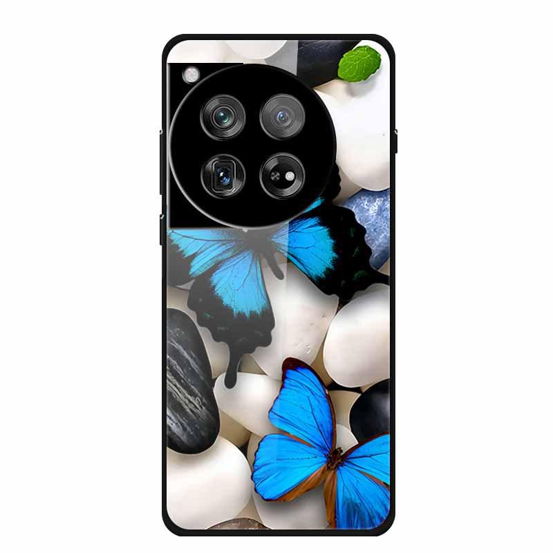 Personalized Seven-Colored Tempered Glass Phone Case for OnePlus 12 - Unisex