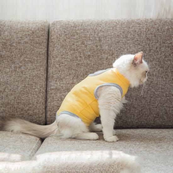 

Прочный дышащий против царапин Pet Recovery Suit Cat Dog Стерилизация Защитная одежда