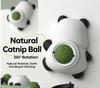 Catnip Ball Toy for Kittens and Adult Cats, Self-entertaining and Boredom-relieving, Wall-mounted, Cute Panda Cat Teaser Stick