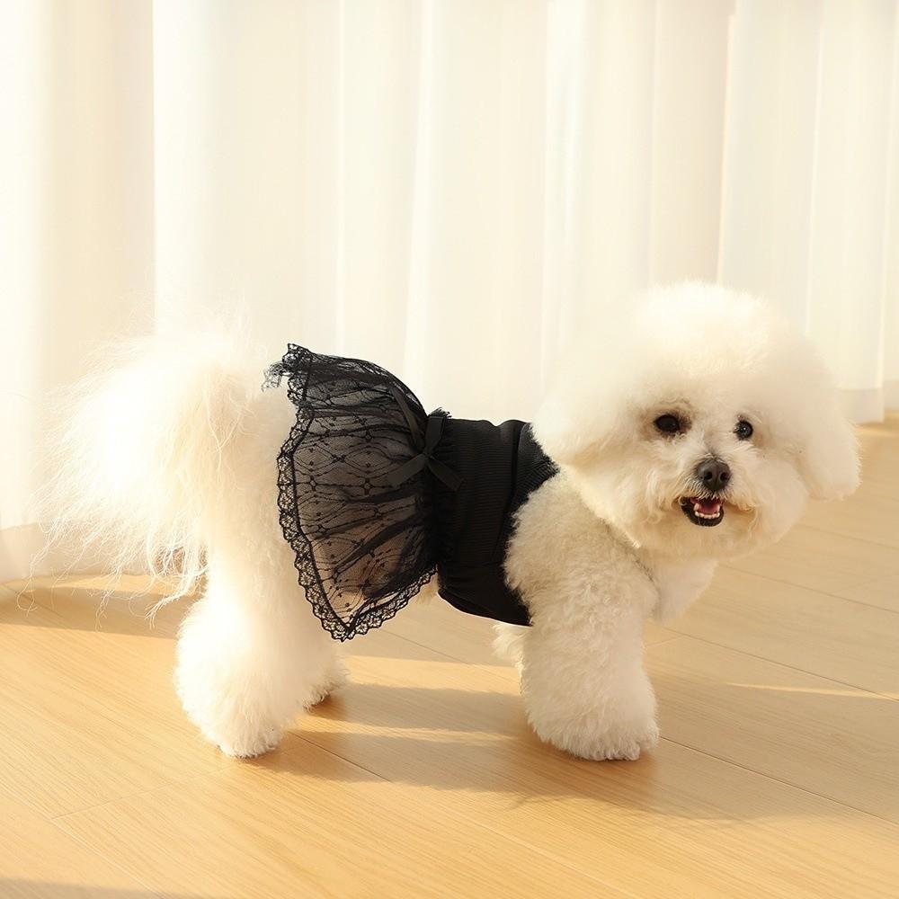 Lace Detail Dog Skirts Princess Style Dog Clothing Princess Pet Dresses for Cats