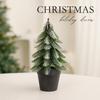 Abies Procera Rehder Holiday Christmas Tree Ornament With Pe Finish For Home Celebration Decor