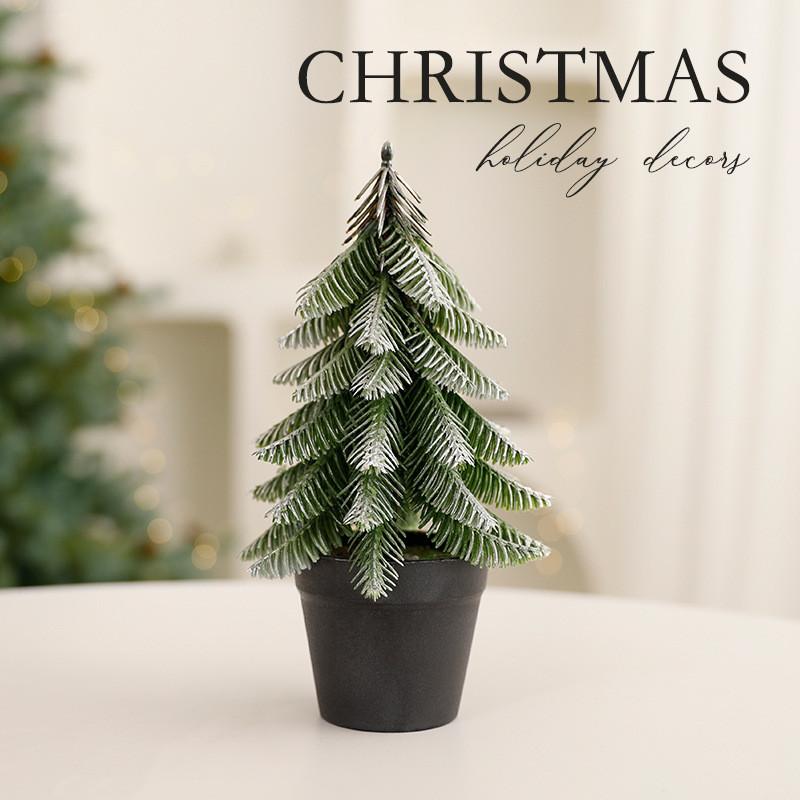 Abies Procera Rehder Holiday Christmas Tree Ornament With Pe Finish For Home Celebration Decor