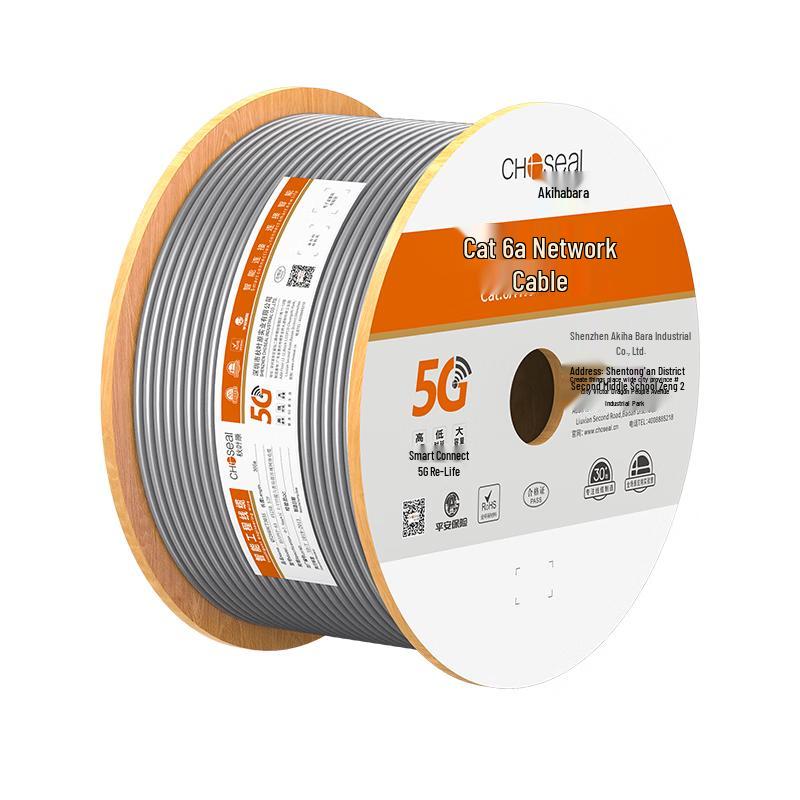 Choseal Cat6A 10 Gigabit Ethernet Cable