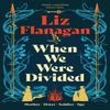 When We Were Divided by Liz Flanagan Paperback Book 9781916747869