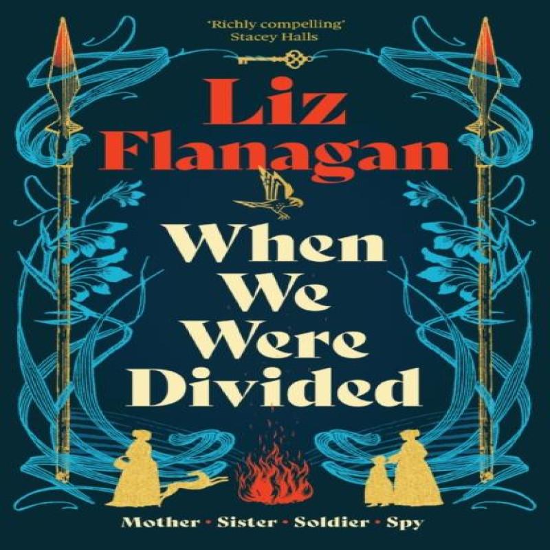 When We Were Divided by Liz Flanagan Paperback Book 9781916747869