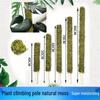 Vine Support Poles for Climbing Plants: Moss Sticks for Monstera, Alocasia, Begonia, Pothos