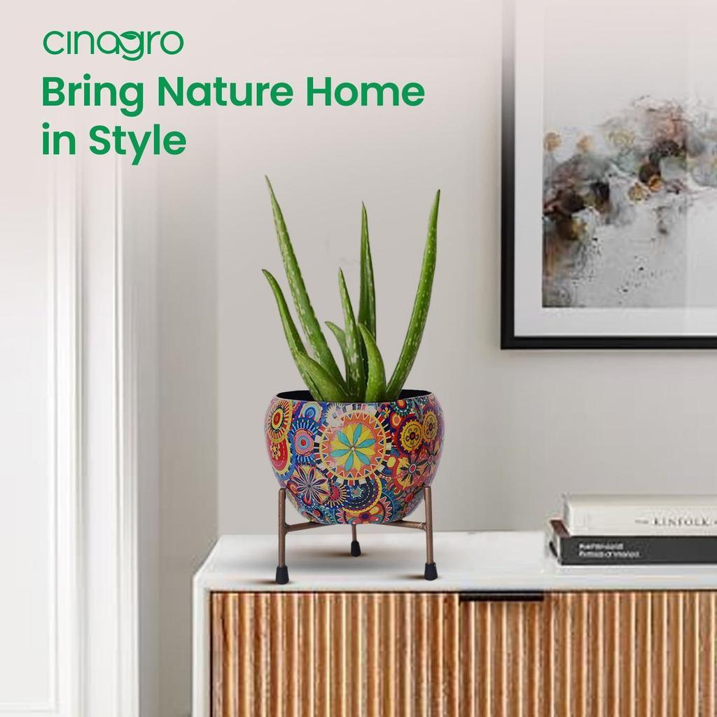 Töpfe für Pflanzen, Pflanzentöpfe zur Heimdekoration, Sukkulententopf, Zimmerpflanzgefäß Gartendekor (Für dich: 6x6 Zoll) Stil: Mandala Fusion Spektrum