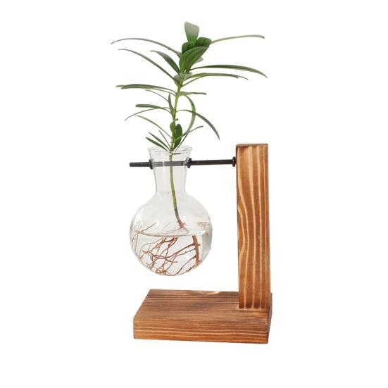 

Plant Propagation Station with 1/2 Glass Vases And Wood Stand Decorative Tabletop Terrarium Planter Clear Glass Hydroponic Vase for Office Garden Home A