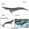 Marine Life Cognitive Toy Set: Sperm Whale, Shark, Bowhead Whale, Blue Whale