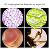 Handheld Microscope Kit Lab Led Light 80X-160X Home School Biological Science Educational Toy For Children Birthday Gift Outdoor