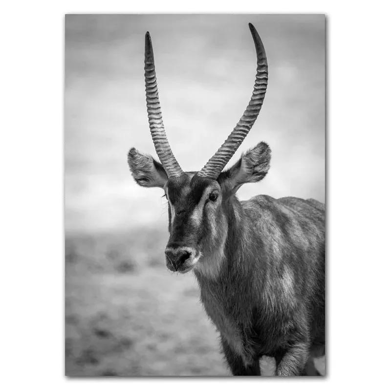 Canvas Painting Desert Waterbuck Art Poster Black White Tree Leafs Forest Nature Wall Art Posters And Prints Wall Pictures