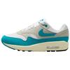 Air Max 1 Dusty Cactus Women's DZ2628-107