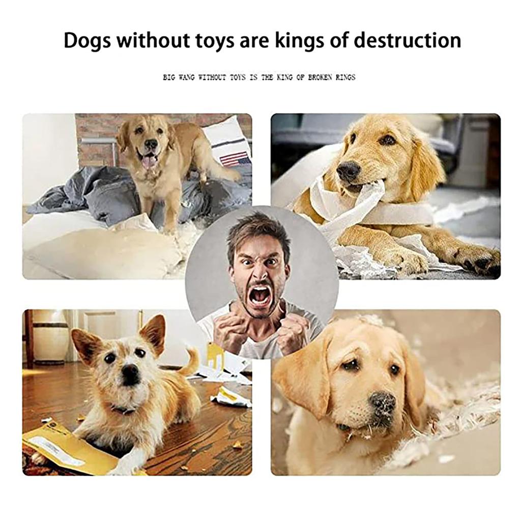 An Indestructible And Dinosaur, A Dog Toy Suitable For Aggressive Chewers, And A Squeaky Plush Dog Toy