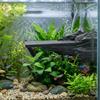 Ancient Chinese Style Fish Tank Decorations Realistic Aquarium Decor Landscaping Crafts  Betta Tank