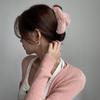 Elegant Winter Large Hair Claw for Women Girls  Acrylic Hairpins Hair Clip Barrette Crab Headwear Girls Accessories