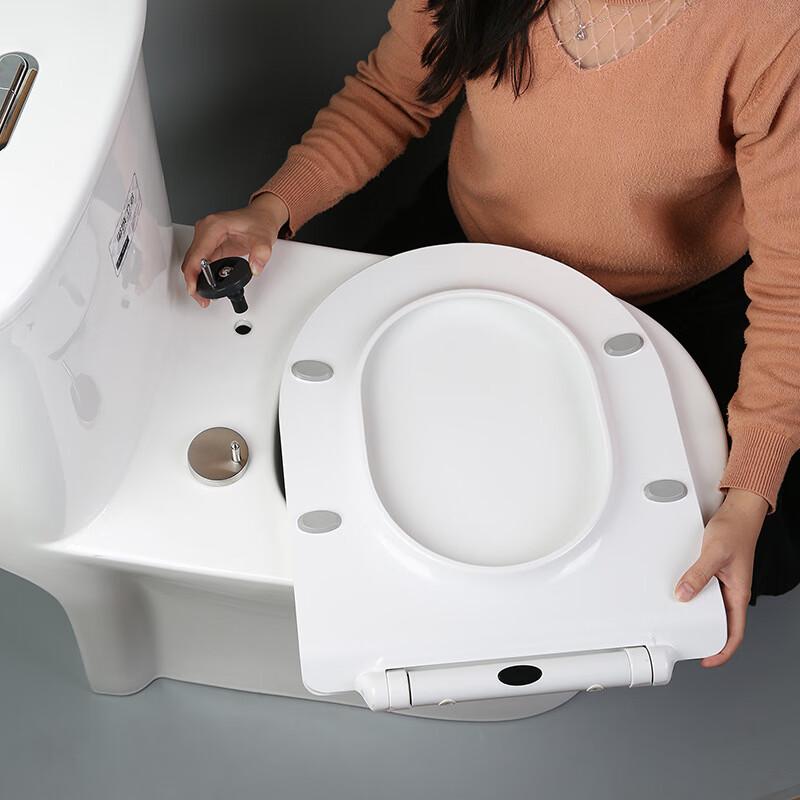 TLXT UF Resin Soft-Close Toilet Seat Cover (V-Shape)