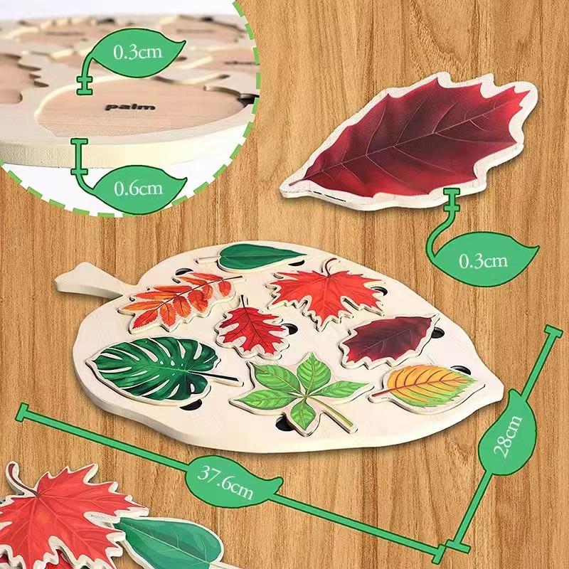 Montessori Yaprak Yapboz Bulmaca Oyuncak Ahşap Bitki Çizim Tahtası Biliş Oyunu Çocuklar İçin Eğitici Boyama Oyuncağı Öğretim Araçları
