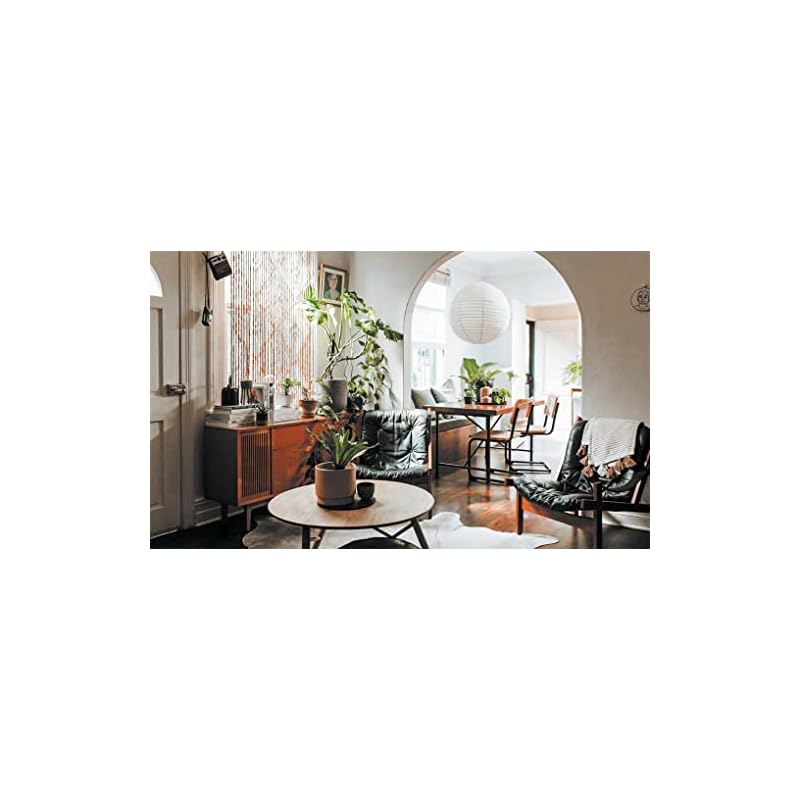 Leaf Supply: A Guide To Keeping Happy House Plants