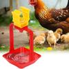 10pcs Chicken Waterer with Nipple Large Drinking Bowls Hanging Cups Snap-Cups Quail Poultry Feeder Farm Feeding Tools