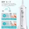 Oral Irrigator Jet Washer with 5 Nozzles, 4 Water Flow Modes, 300ML Tank, USB Rechargeable, IPX7 Waterproof