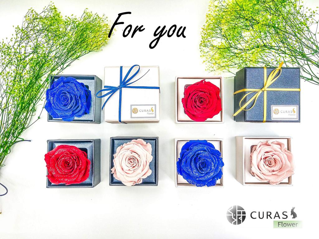 CURAS Preserved Rose Flowers with Natural Diamond and Glitter (Blue, White Box)