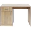 Vidaxl Schreibtisch mit Schublade und Schrank in Eichenfarbe 100x40x73 cm