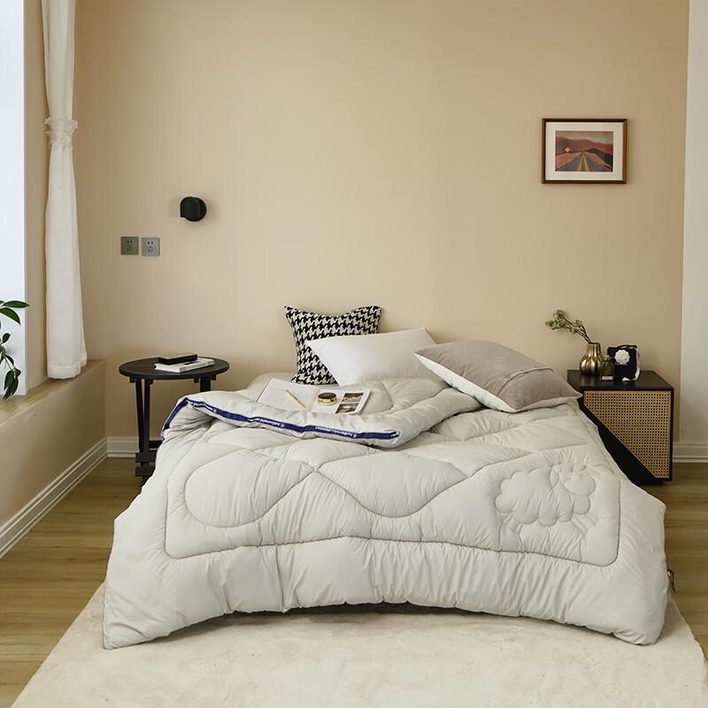 Yuanzhiwei Australian Wool Quilt