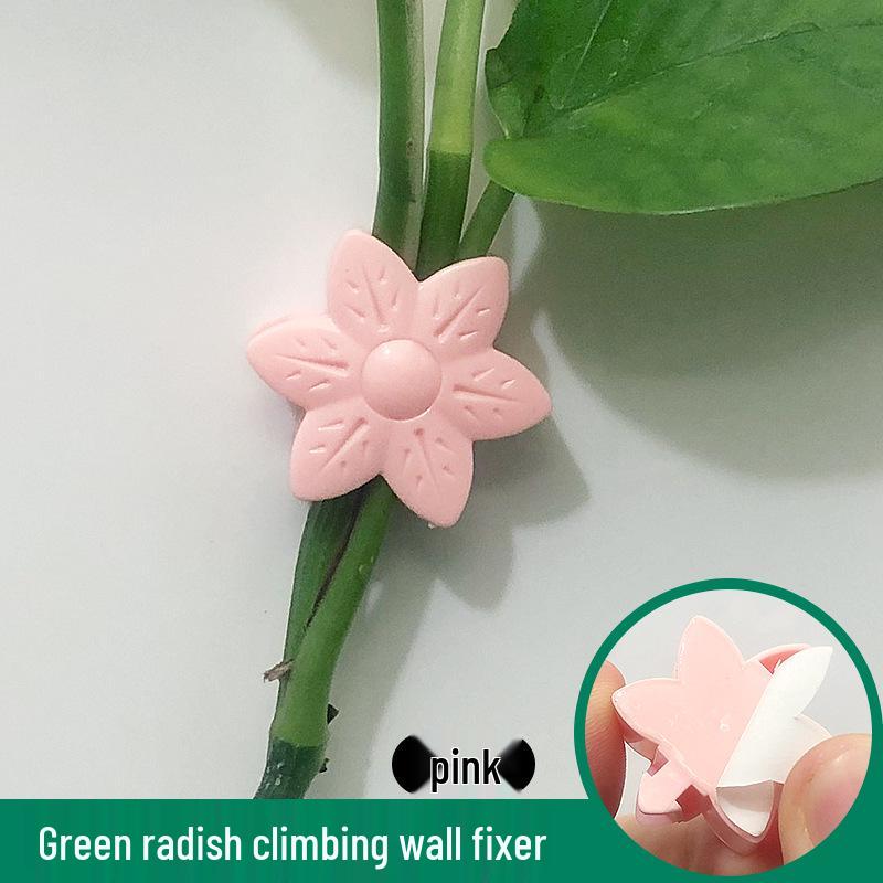 Self-Adhesive Invisible Clips for Wall-Mounting Green Vines and Ivy