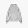 REPRESENT Minimalist Slogan Logo Printed Hooded Sweater High Street Niche Cotton 420g Terry