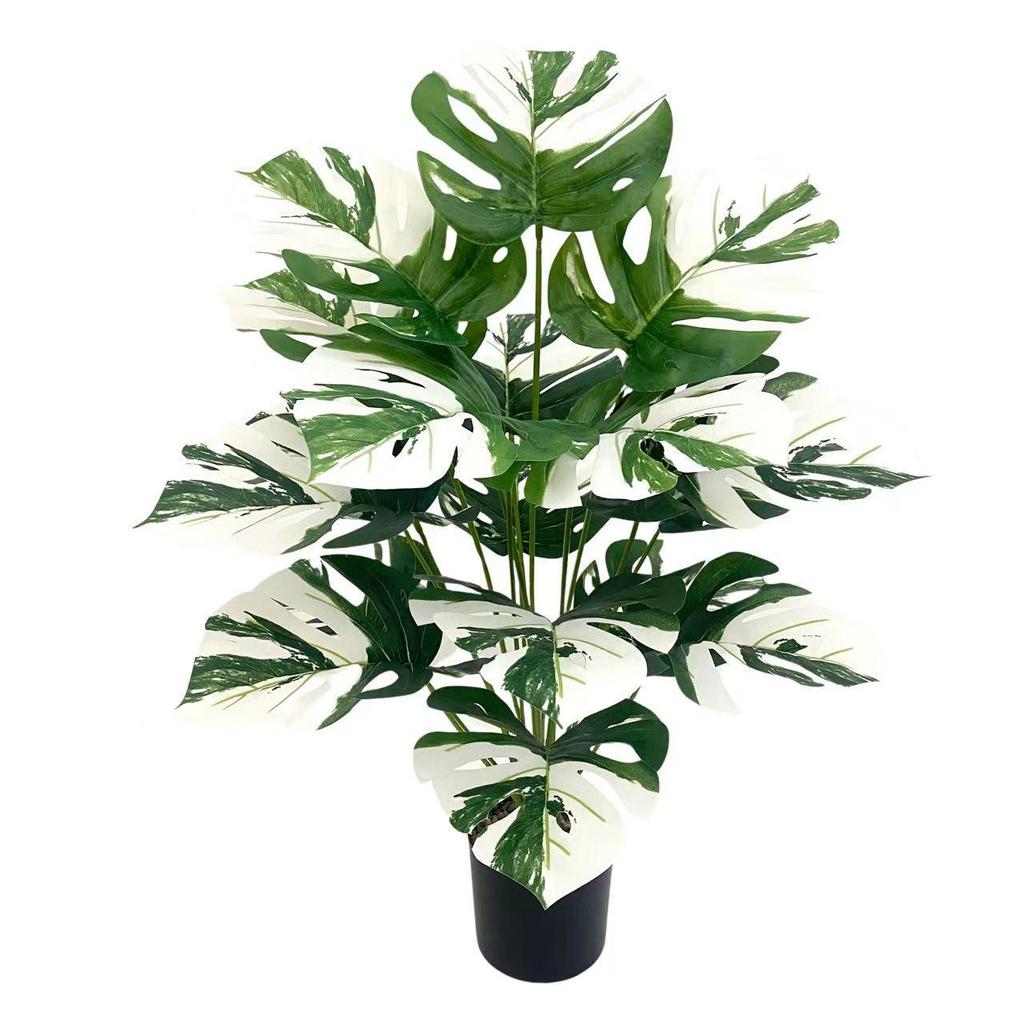 Nordic Style Variegated Monstera: Potted Plant for Home & Garden Decor
