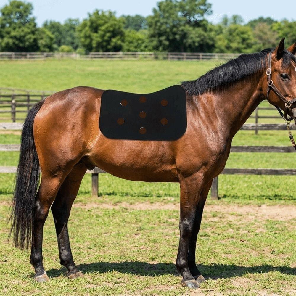 Breathable Bareback Pad Shock Absorption Horse Riding Pad Saddle Seat Cushion Horse Riding