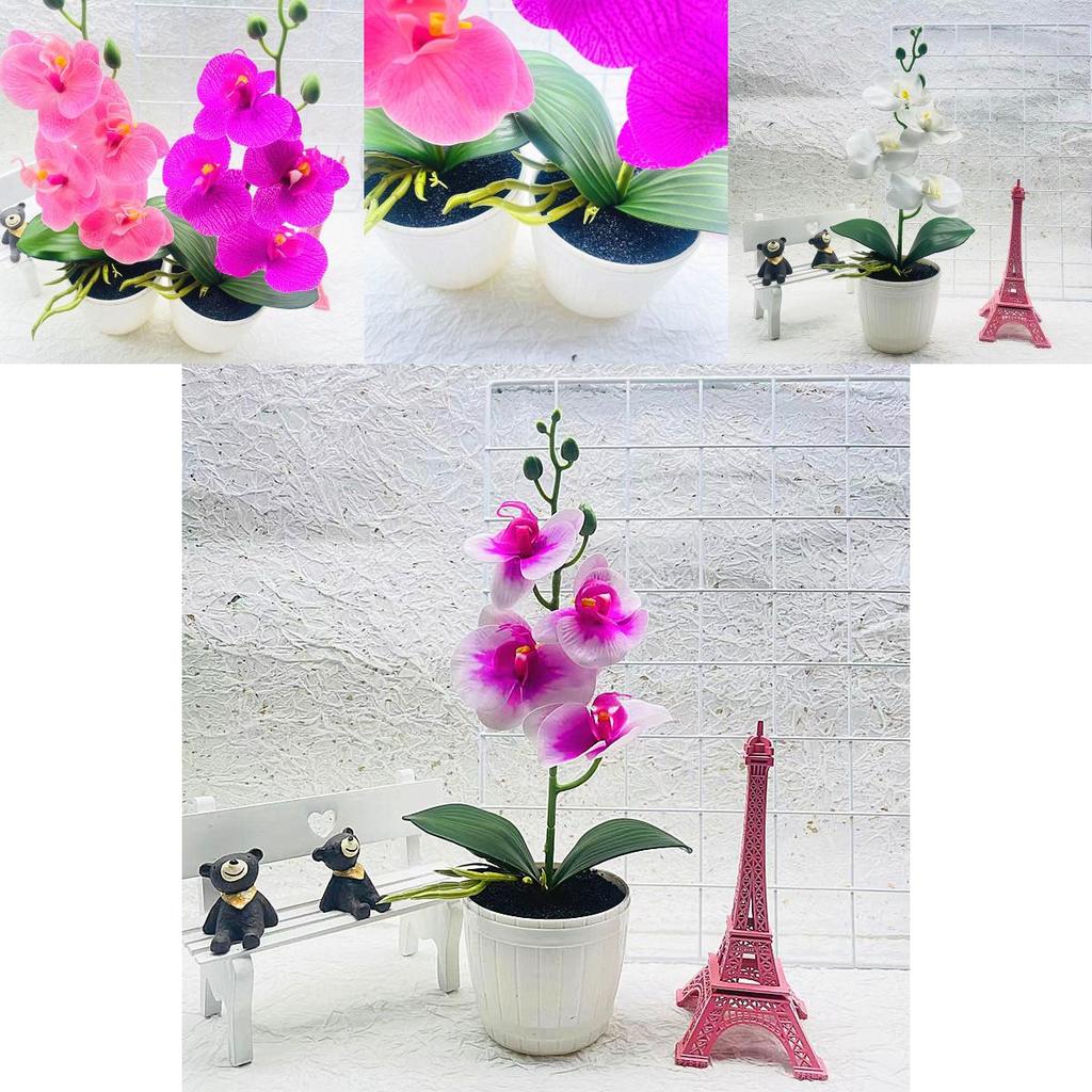 Phalaenopsis Artificial Potted Flower With Durable Material For Home Office And Gift Use