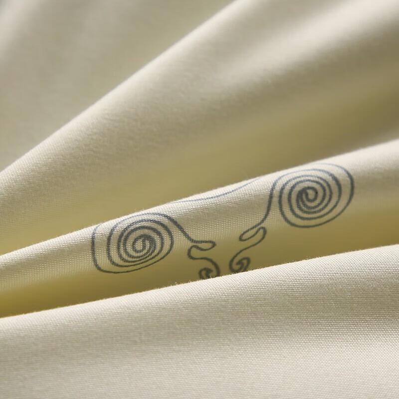 Yuzhaolin Brushed Printed Wool Comforter