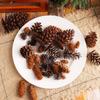 Pine Cones And Pine Flowers Christmas Decorations Pendant, Creative Diy Plastic Spruce Pine Accessories Shooting Props Ornament