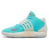 KD 14 Enspire Friends And Family KD Mid Top Basketball Shoes Men's Blue DV2098-300