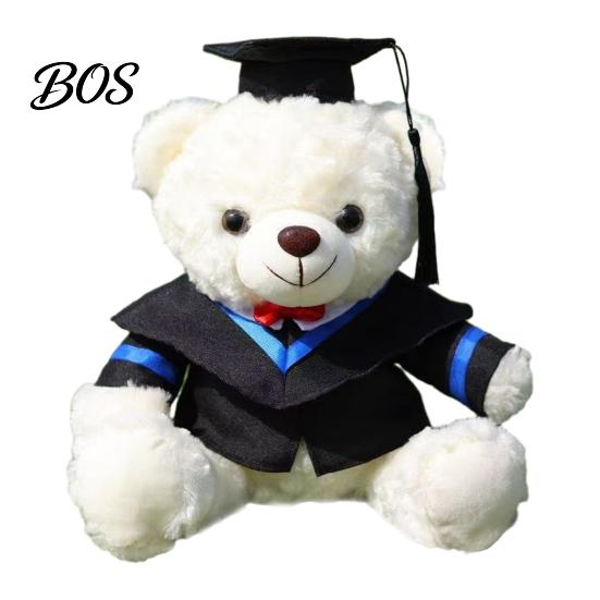 Luxury Gift Packaging Bear Personalized Graduation Gifts 2026 for Her, Cute Teddy with Embroidered Gown Award And Cap, Soft Plush Mascot College High