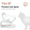Cat Bowl Transparent Double Bowl Cat Food Bowl Water Bowl Basin Bowl Rack Dog Bowl Dog Food Basin Oblique Mouth Spine